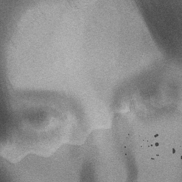 Olivia Miceli artist image